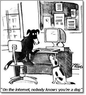 A cartoon showing two dogs. One is sitting at the computer, paws on the keyboard, and turns to the other to say ‘On the Internet, nobody knows you're a dog.'