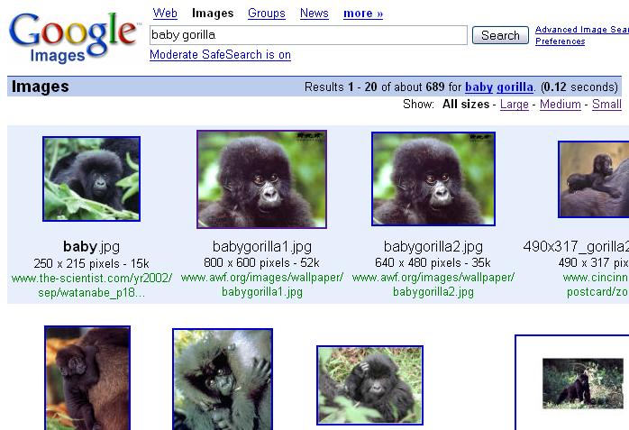 A screen dump of results of a search of Google images for ‘baby gorilla’. The search box is shown at the top of the page followed by a heading ‘Images Results 1–20 of about 689 for baby gorilla’. Links are provided to show- All sizes, Large, Medium, and Small. The results are shown as a series of small thumbnail images with details following giving the filename, dimensions, file size and URL.